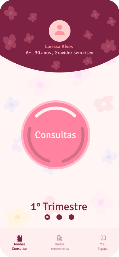 Consultas por trimestre